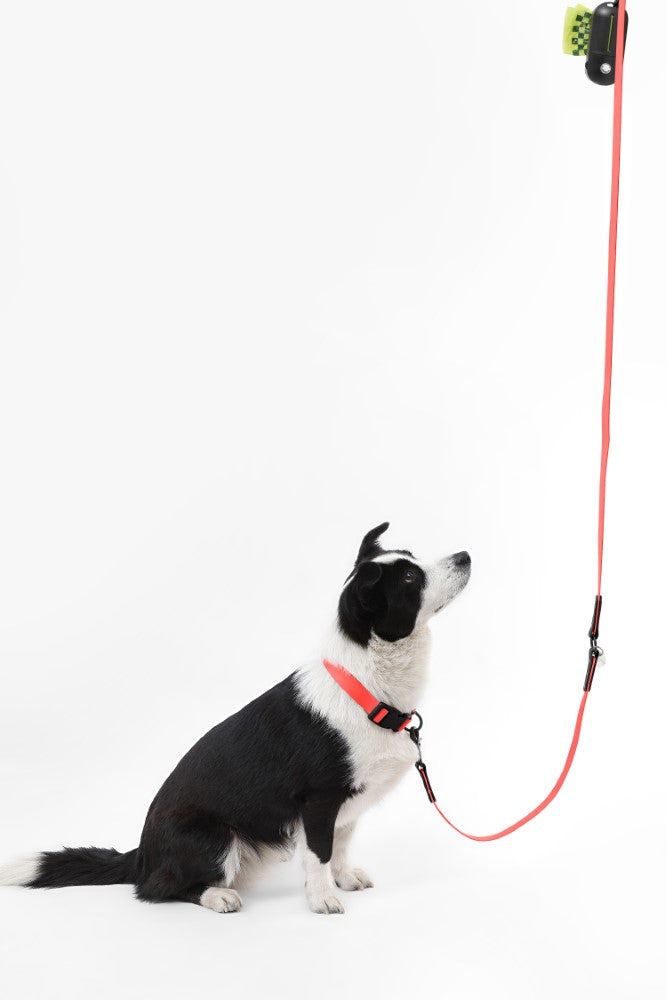 Shri 8FT Adjustable 6-in-1 Waterproof Hands-Free Leash and Collar with LED Flashlight Bag Dispenser and Poop Bag Holder