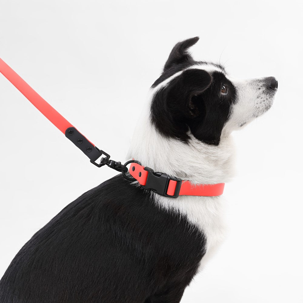 Shri 8FT Adjustable 6-in-1 Waterproof Hands-Free Leash and Collar with LED Flashlight Bag Dispenser and Poop Bag Holder