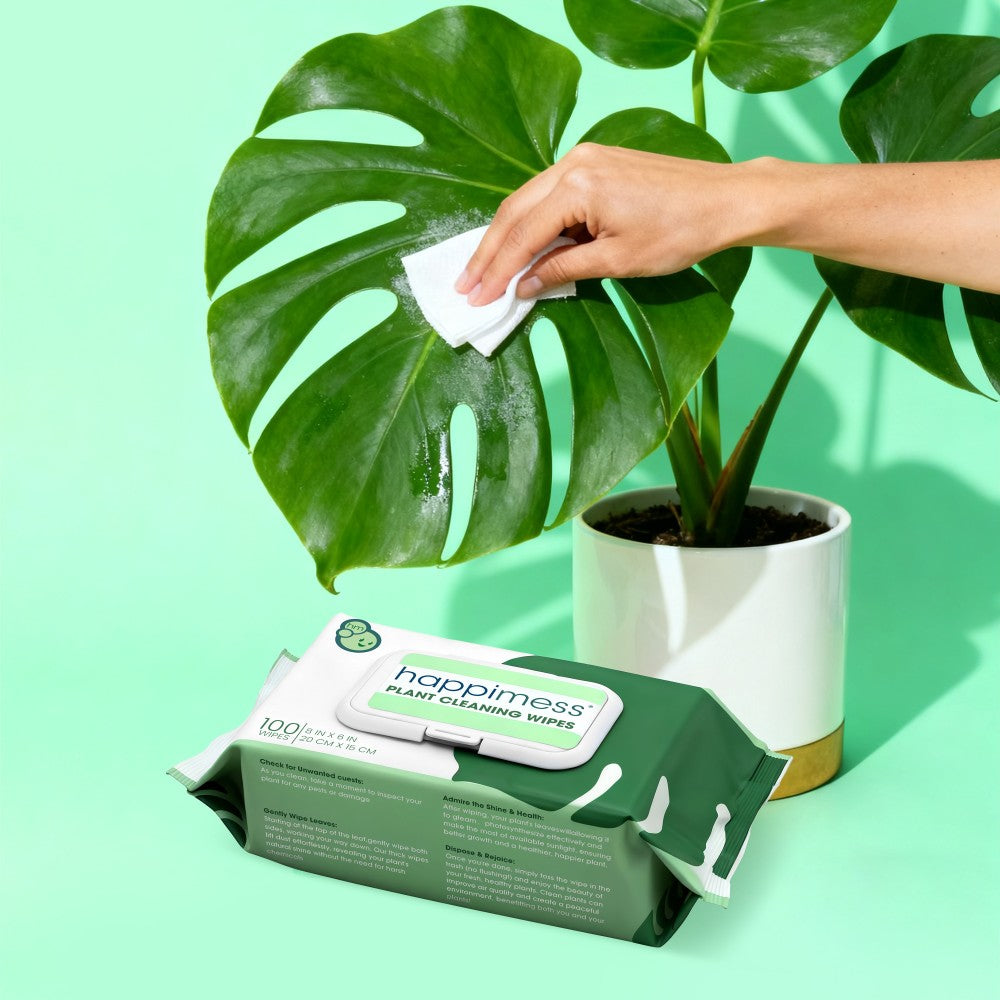 Rowan Oil Infused Plant Cleaning Wipes, Remove Dust Dirt Water Spots and Restore