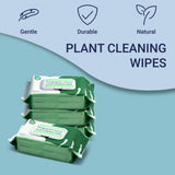 Rowan Oil Infused Plant Cleaning Wipes, Remove Dust Dirt Water Spots and Restore