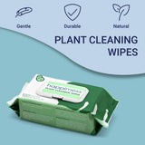 Rowan Oil Infused Plant Cleaning Wipes, Remove Dust Dirt Water Spots and Restore