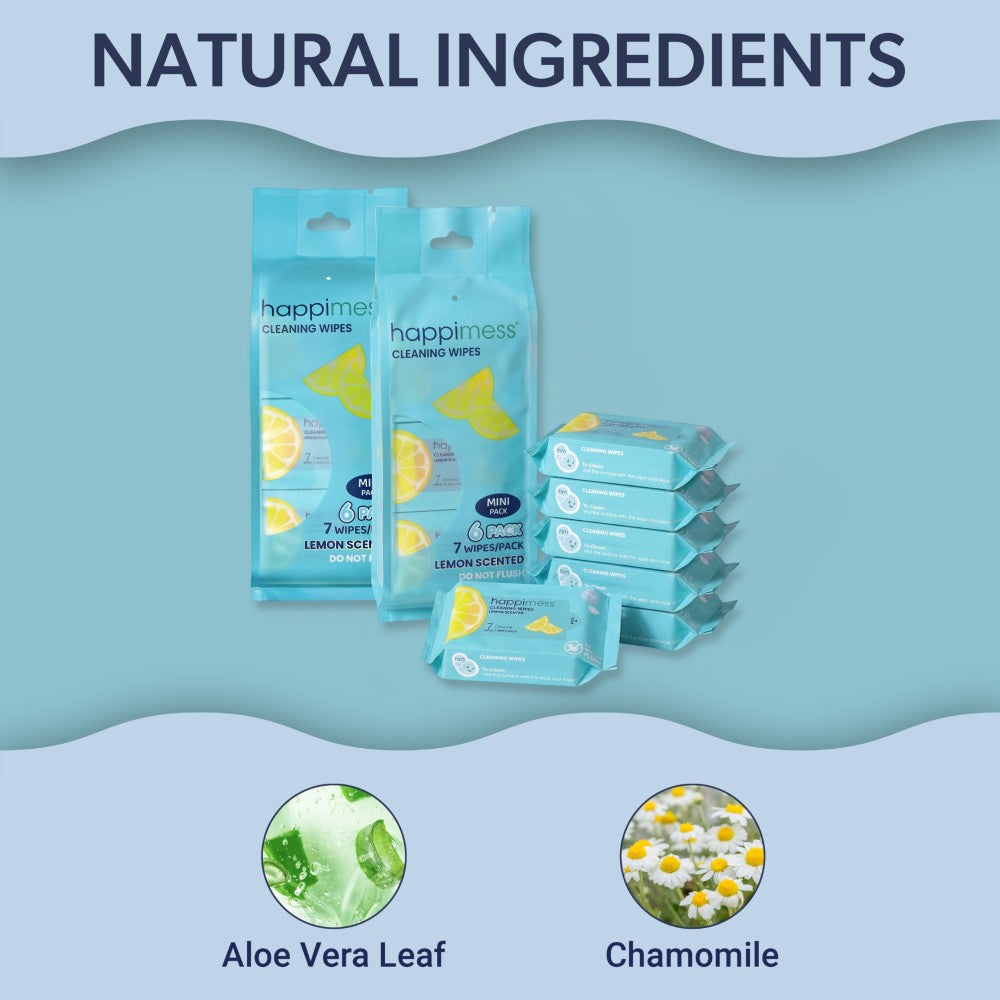 Willow Travel All-Purpose Multi Surface Heavy Duty Wipes, Bleach Free, Extra Strong, Super Moist, Tough on Messes