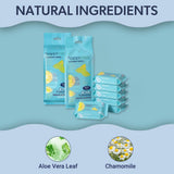 Willow Travel All-Purpose Multi Surface Heavy Duty Wipes, Bleach Free, Extra Strong, Super Moist, Tough on Messes