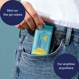 Willow Travel All-Purpose Multi Surface Heavy Duty Wipes, Bleach Free, Extra Strong, Super Moist, Tough on Messes