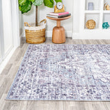 Nobleman Boho Gray Medallion Washable Indoor/Outdoor Area Rug