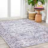 Nobleman Boho Gray Medallion Washable Indoor/Outdoor Area Rug