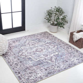 Nobleman Boho Gray Medallion Washable Indoor/Outdoor Area Rug