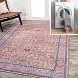 Jiminy Persian Washable Area Rug