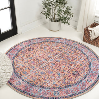 Jiminy Persian Washable Area Rug