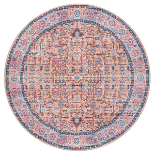 Jiminy Persian Washable Area Rug
