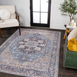 Twitty Ornate Medallion Washable Area Rug
