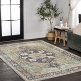 Twitty Ornate Medallion Washable Area Rug