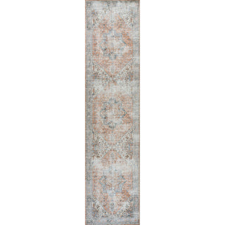 Elida Distressed Medallion Chenille Machine-washable Area Rug