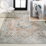 Elida Distressed Medallion Chenille Machine-washable Area Rug