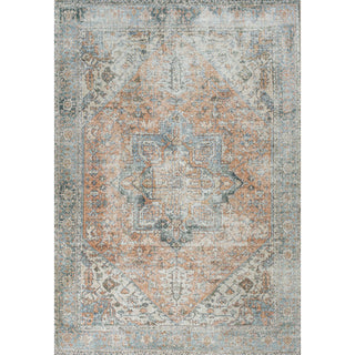 Elida Distressed Medallion Chenille Machine-washable Area Rug