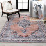 Vernal Chenille Cottage Medallion Machine-washable Area Rug