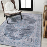 Vernal Chenille Cottage Medallion Machine-washable Area Rug