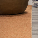 Alexander Classic Solid Low-Pile Machine-Washable Area Rug