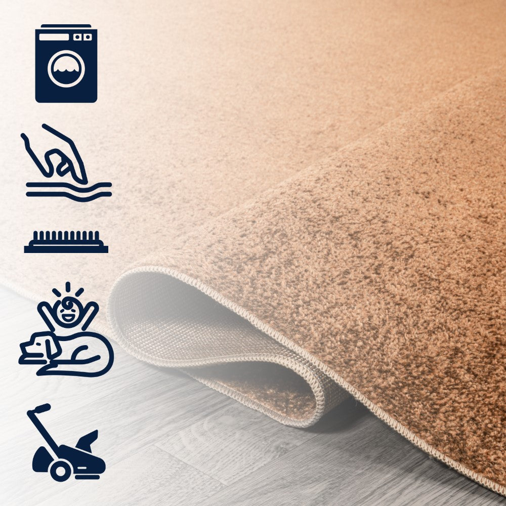 Alexander Classic Solid Low-Pile Machine-Washable Area Rug