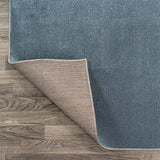 Alexander Classic Solid Low-Pile Machine-Washable Area Rug