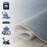 Alexander Classic Solid Low-Pile Machine-Washable Area Rug