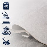 Alexander Classic Solid Low-Pile Machine-Washable Area Rug