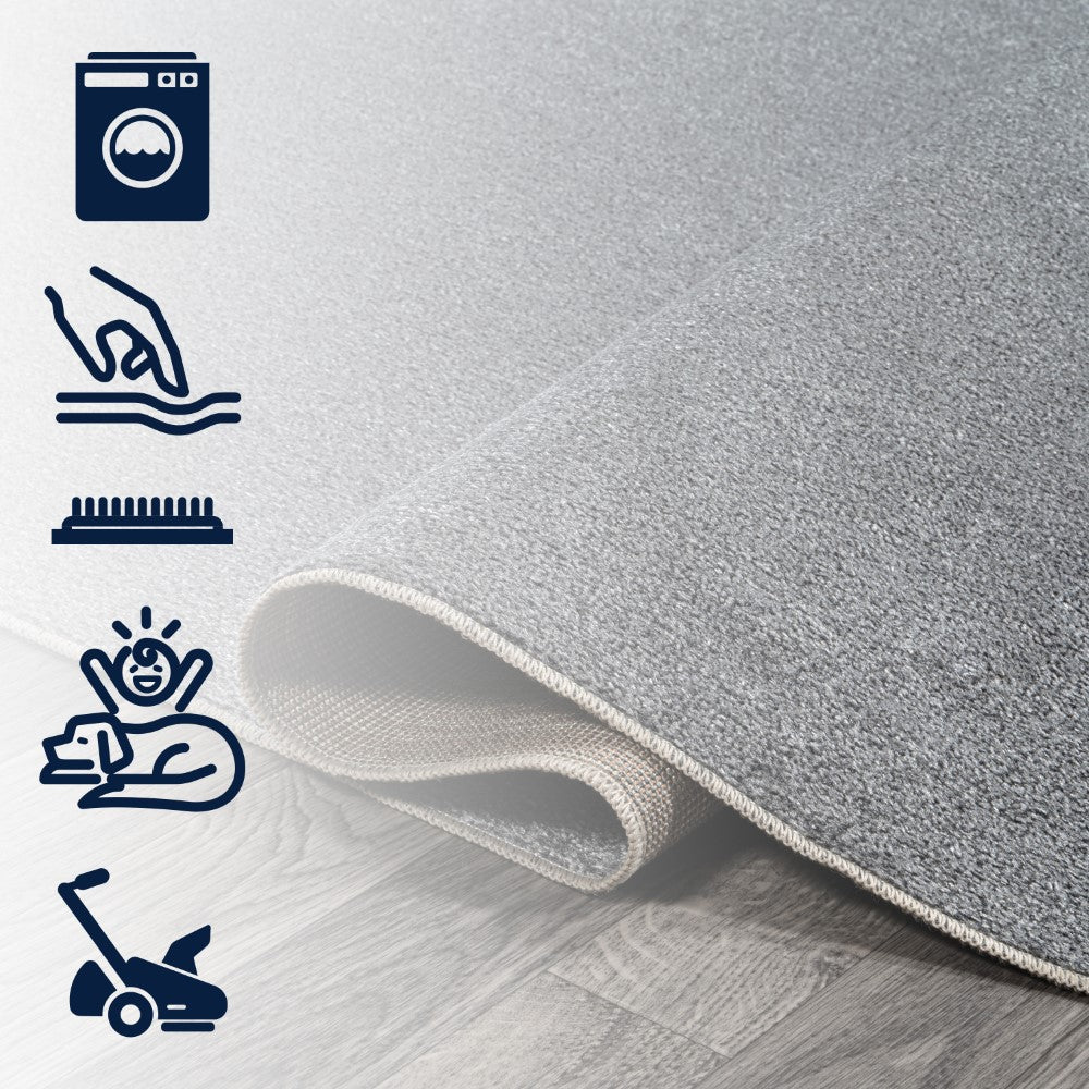 Alexander Classic Solid Low-Pile Machine-Washable Area Rug