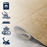 Alexander Classic Solid Low-Pile Machine-Washable Area Rug