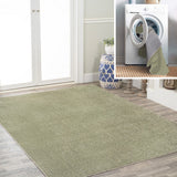 Alexander Classic Solid Low-Pile Machine-Washable Area Rug