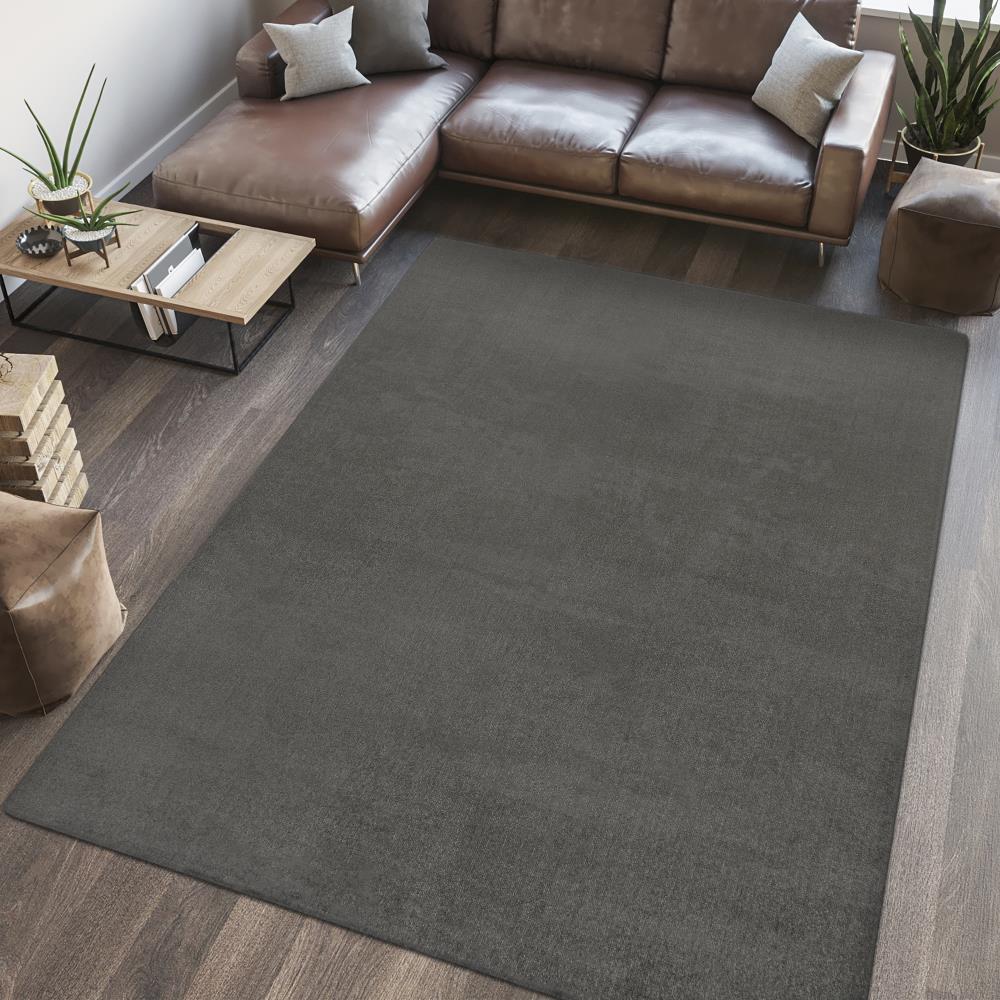 Alexander Classic Solid Low-Pile Machine-Washable Area Rug
