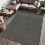Alexander Classic Solid Low-Pile Machine-Washable Area Rug