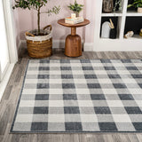 Cottage Gradient Plaid Cottage Machine-Washable Area Rug