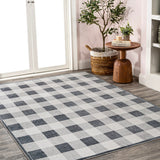 Cottage Gradient Plaid Cottage Machine-Washable Area Rug