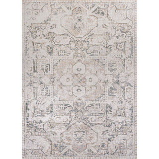 Persian Distressed Medallion Low-Pile Machine-Washable Area Rug