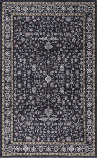 Solmere Medallion All-over Floral Border Non-slip Machine-washable Area Rug