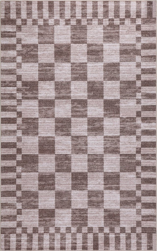 Terra Distressed Checkerboard Stripe Border Non-slip Machine-washable Area Rug
