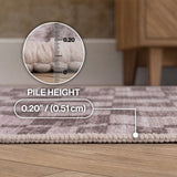Terra Distressed Checkerboard Stripe Border Non-slip Machine-washable Area Rug