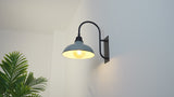 Carson 12.25" Farmhouse Industrial Indoor/Outdoor Iron LED Gooseneck Arm Outdoor Sconce