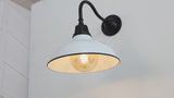 Flynix 12.25" Farmhouse Industrial Indoor/Outdoor Iron LED Gooseneck Arm Outdoor Sconce