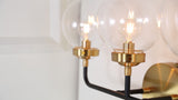 Iris Brass Vanity Wall Sconce Clear