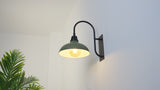 Carson 12.25" Farmhouse Industrial Indoor/Outdoor Iron LED Gooseneck Arm Outdoor Sconce