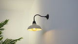 Flynix 12.25" Farmhouse Industrial Indoor/Outdoor Iron LED Gooseneck Arm Outdoor Sconce