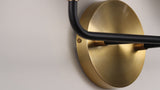 Iris Brass Vanity Wall Sconce Frosted
