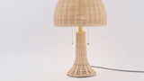 Benny 22"  Bohemian Rustic Iron LED Table Lamp