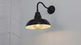 Flynix 12.25" Farmhouse Industrial Indoor/Outdoor Iron LED Gooseneck Arm Outdoor Sconce