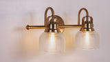 Shirley Metal/Glass LED Vanity Light